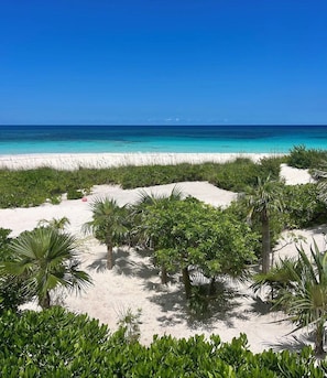 A beach with white sand, green vegetation, and a clear blue ocean under a bright sky. - Bohemia Bungalows (Governor's Harbour)