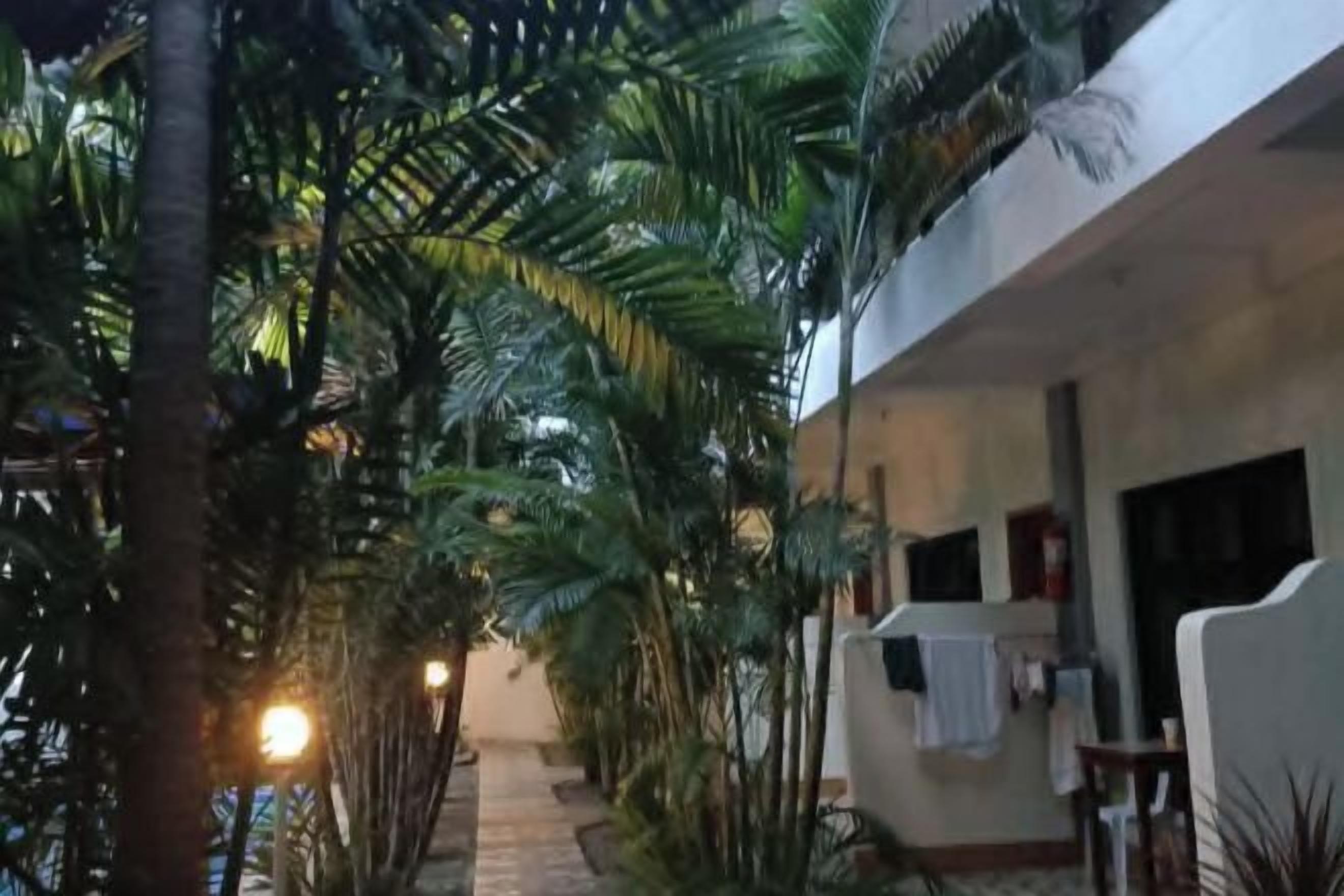 A corridor with palm trees, a white wall, and a door with a towel hanging on it.