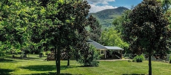 Serene campground in Candler with goats!