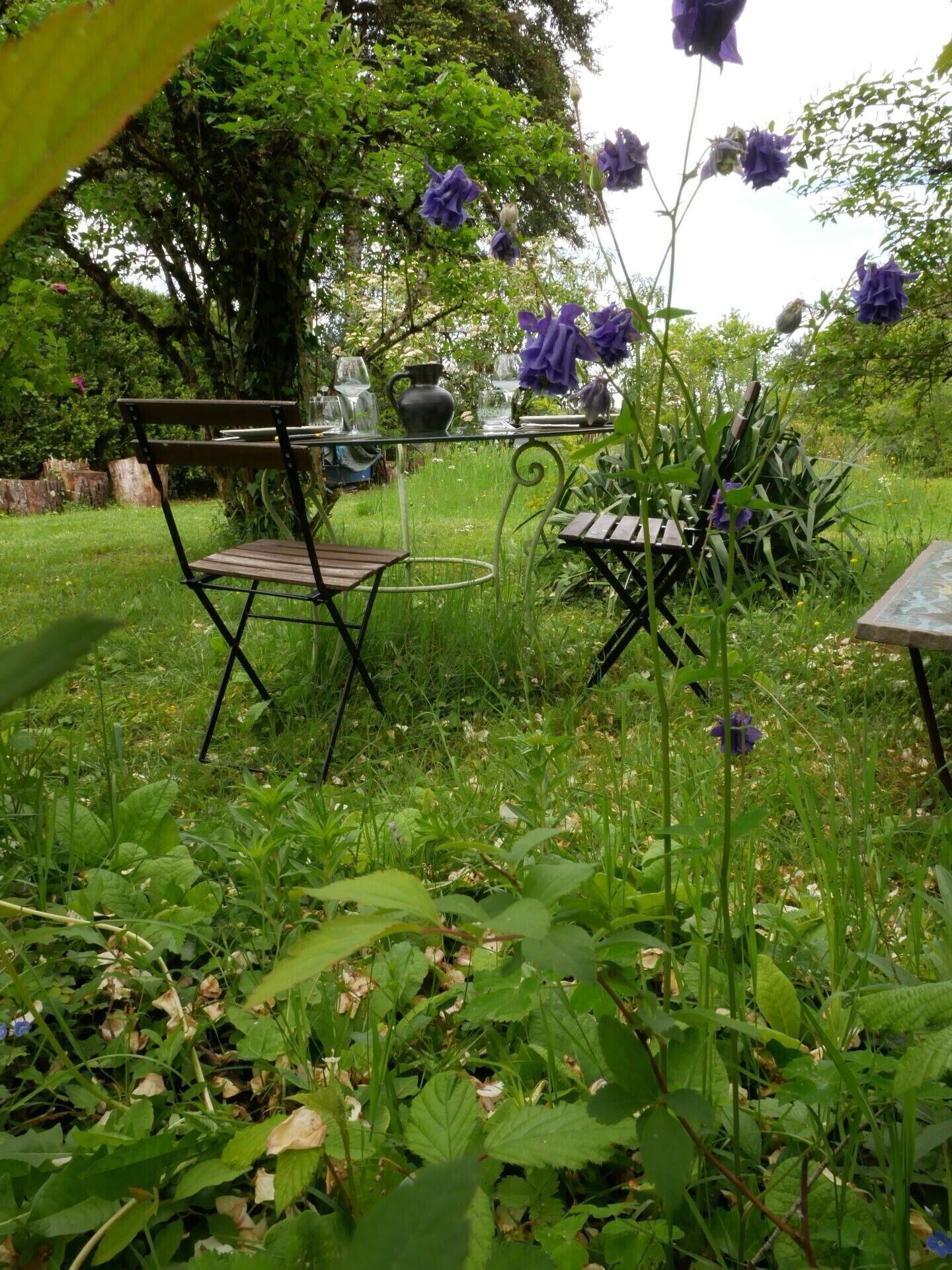 An outdoor garden with a table and chairs, surrounded by lush greenery and purple flowers.