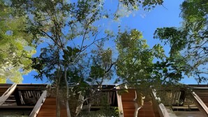 A multi-level building with wooden staircases and a tree in the center. - Jungle Escape: Cozy 1-Bedroom Retreat (Tulum)