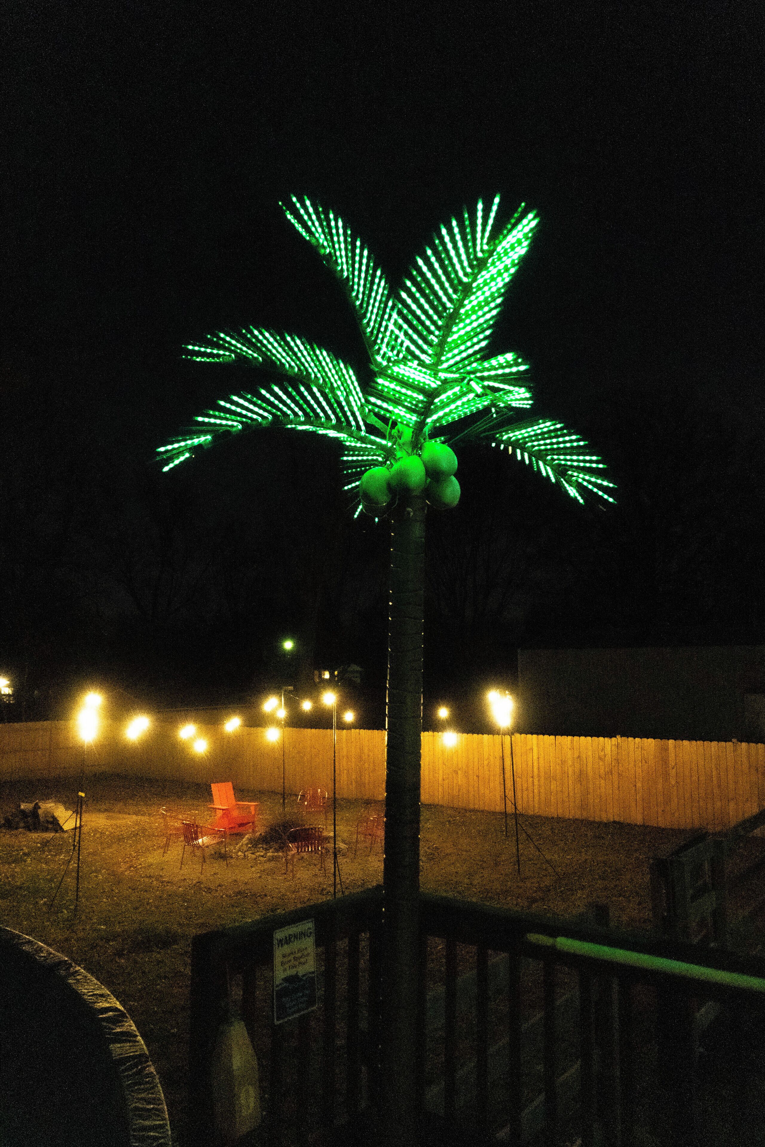 A palm tree with green lights, a wooden fence, and chairs in the background.
