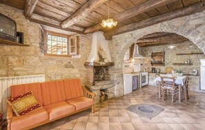 TV, fireplace, books