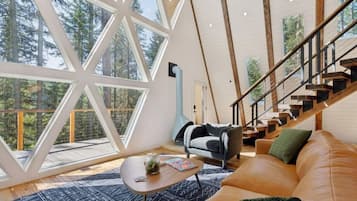 TV, fireplace, table tennis, books