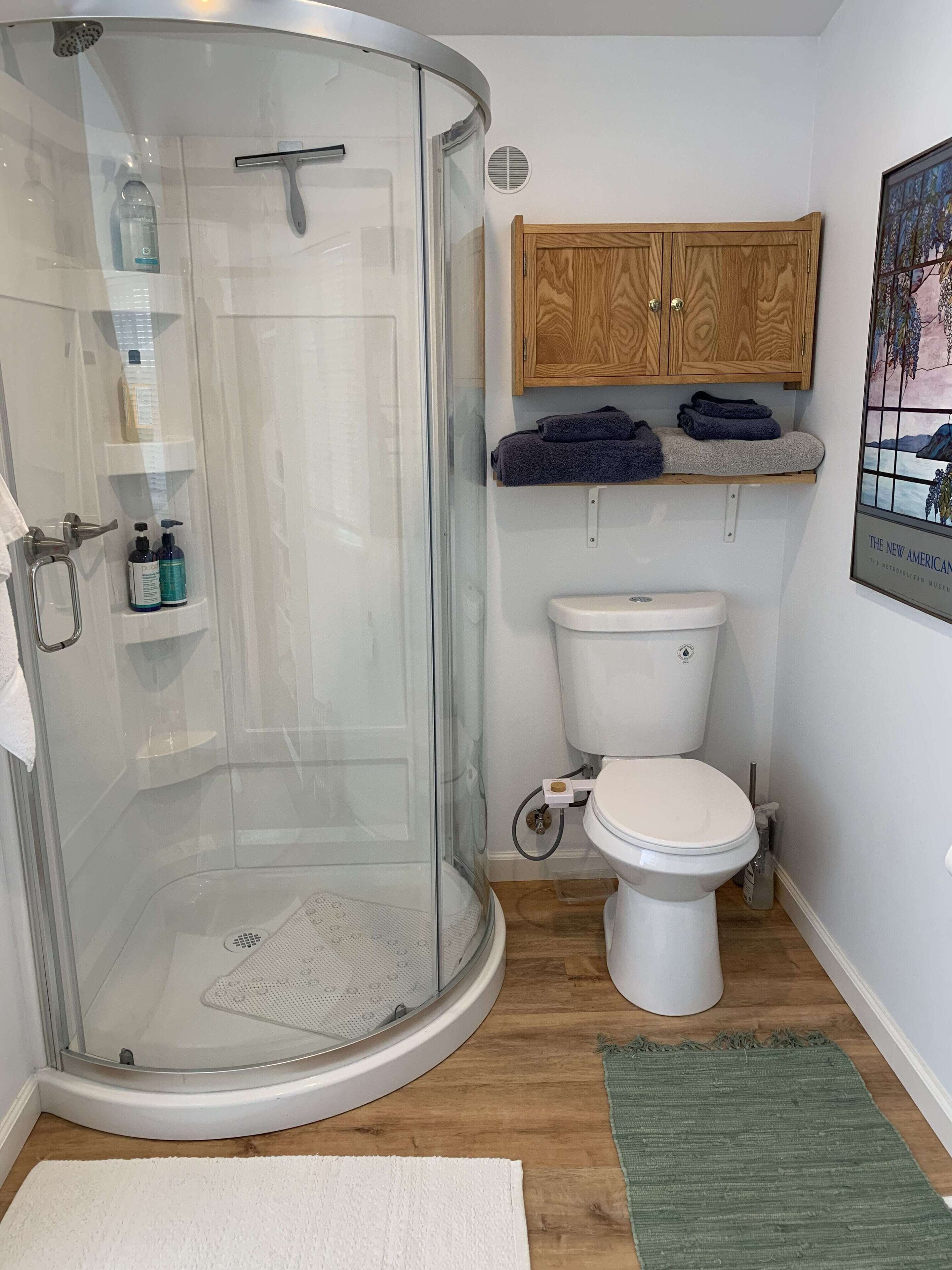 Shower, hair dryer, bidet, towels