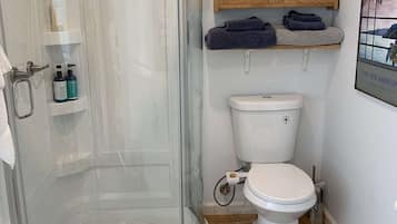 Shower, hair dryer, bidet, towels