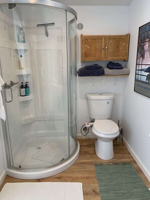 Shower, hair dryer, bidet, towels