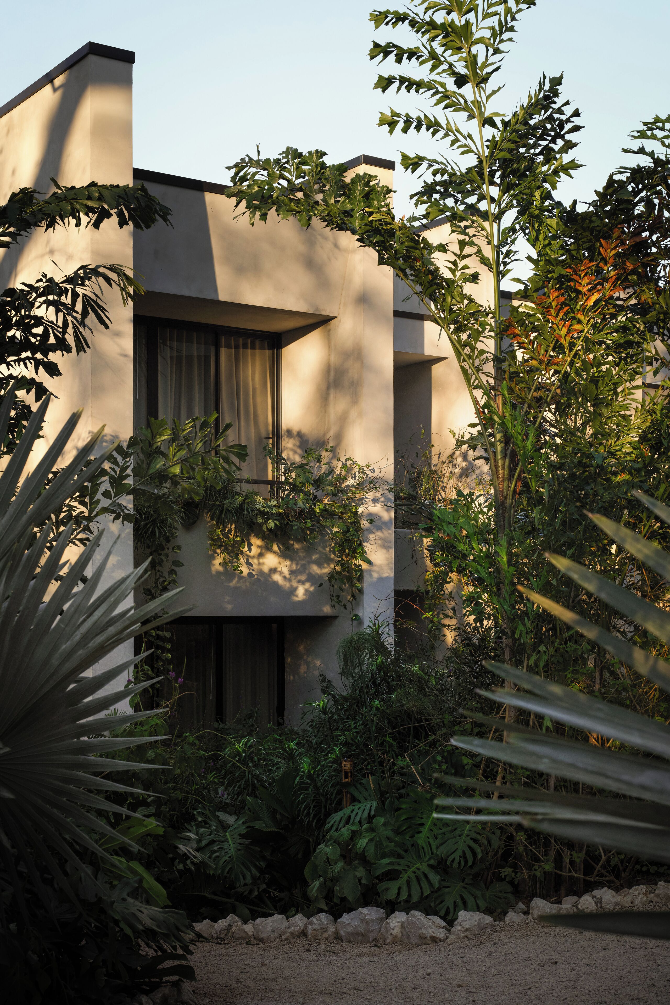 Un edificio moderno de diseño minimalista, rodeado de abundante vegetación y diversas plantas.