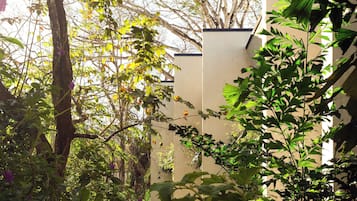A garden area with dense foliage, a palm tree, and a building with a flat roof.
