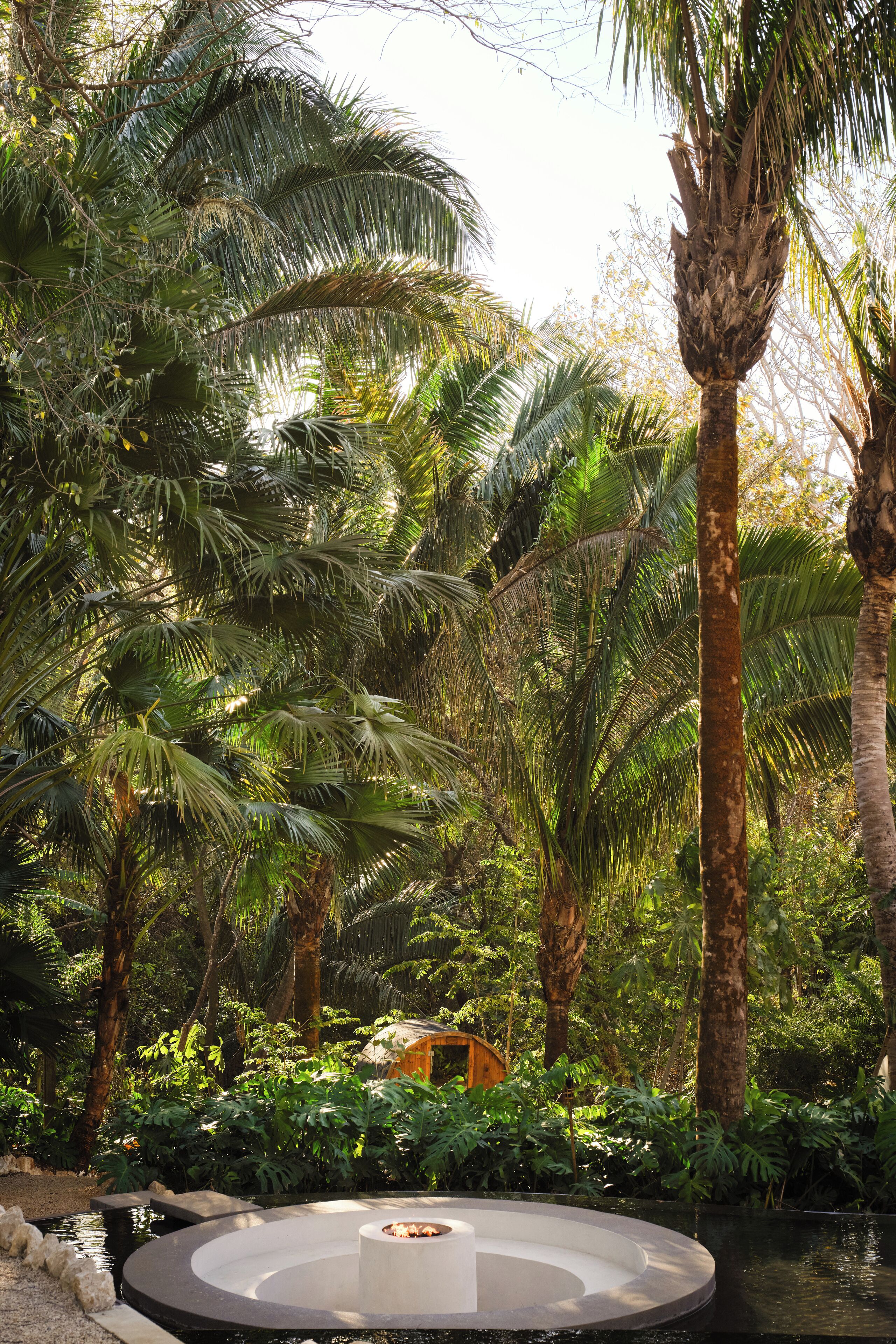 Une piscine circulaire en pierre, entourée d’une végétation tropicale luxuriante et de palmiers.