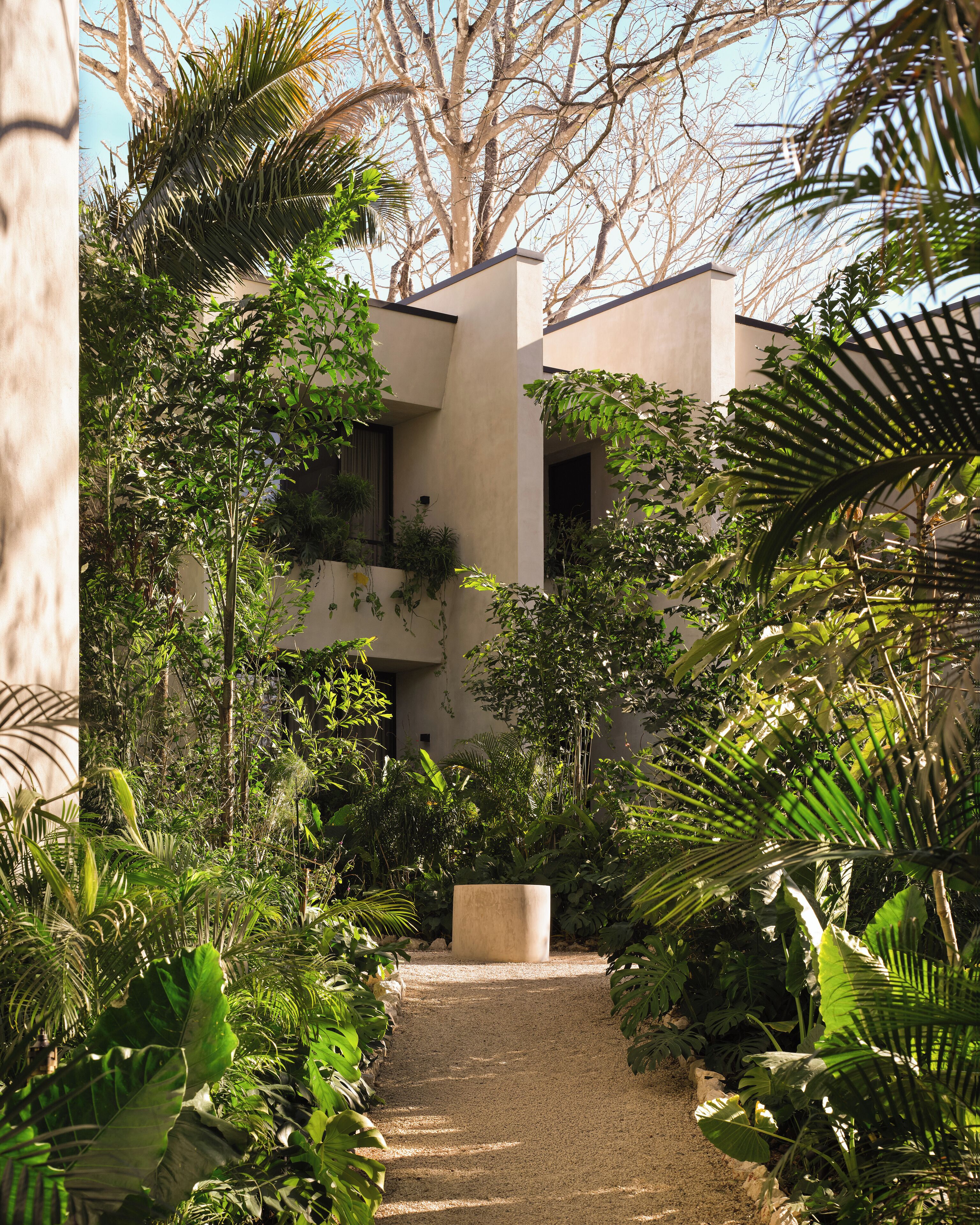 A pathway leading to a building surrounded by dense tropical vegetation.