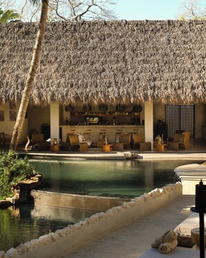 A pool area with a thatched roof, lounge chairs, and a bar area. - Esh Hotel and Spa, a Member of Design Hotels (Nosara)