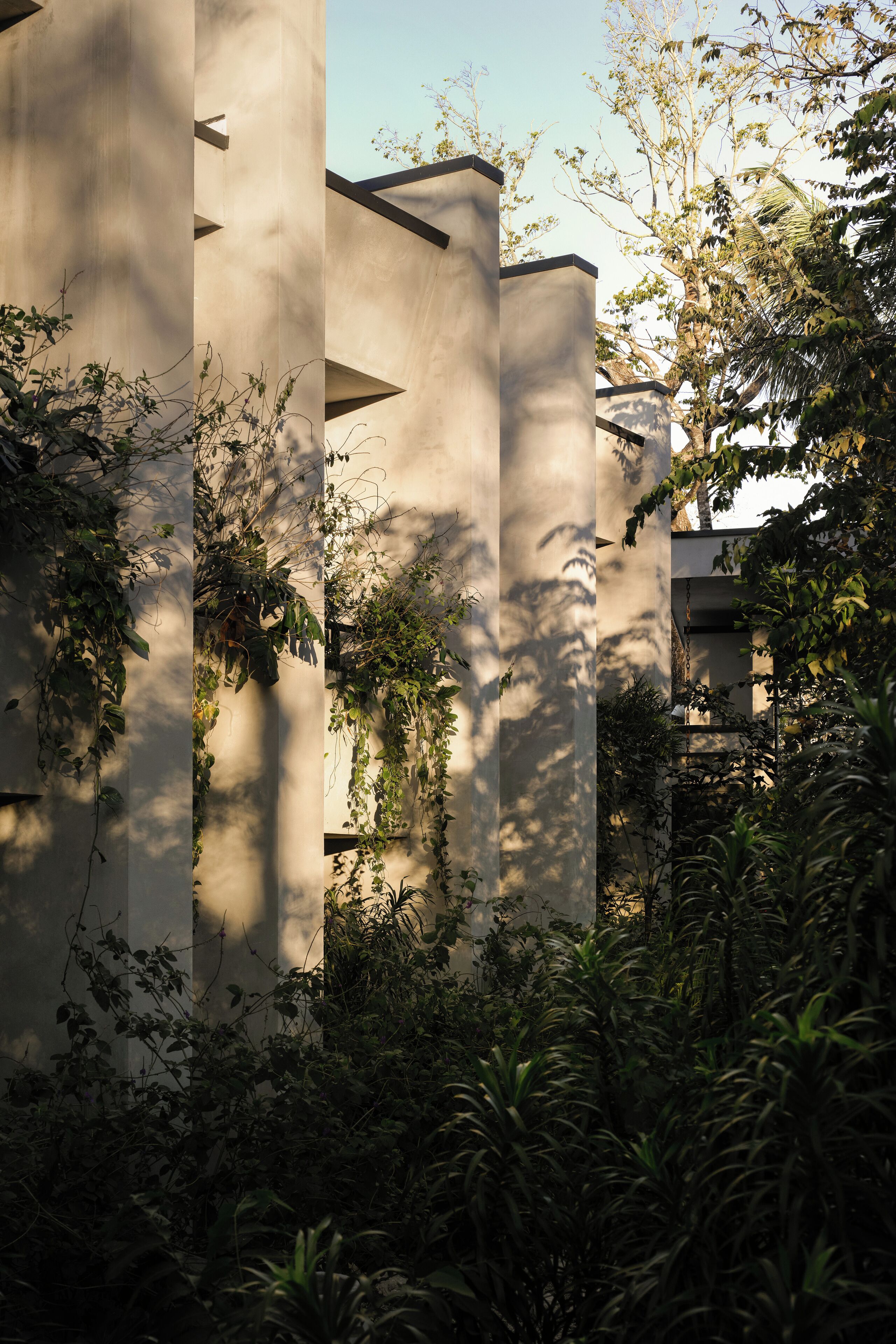 A building with vertical columns and dense foliage.