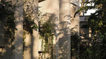 A building with vertical columns and dense foliage.