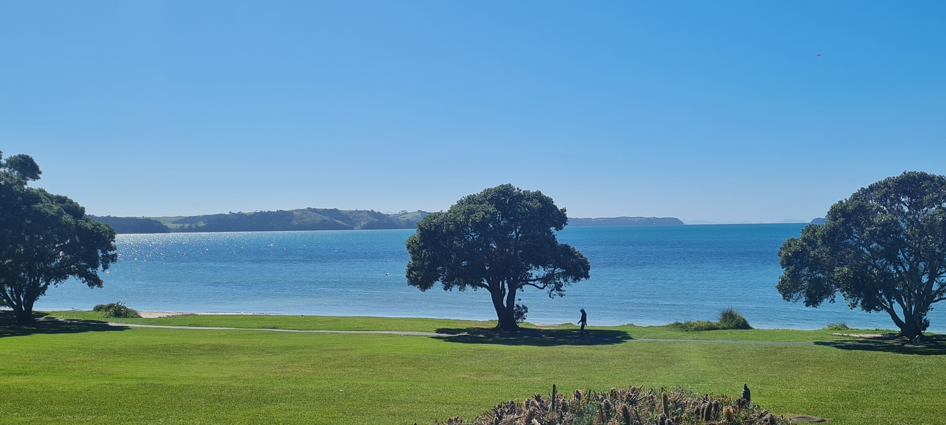 Un paisaje costero con vista despejada al mar, una zona de césped y dos árboles grandes.