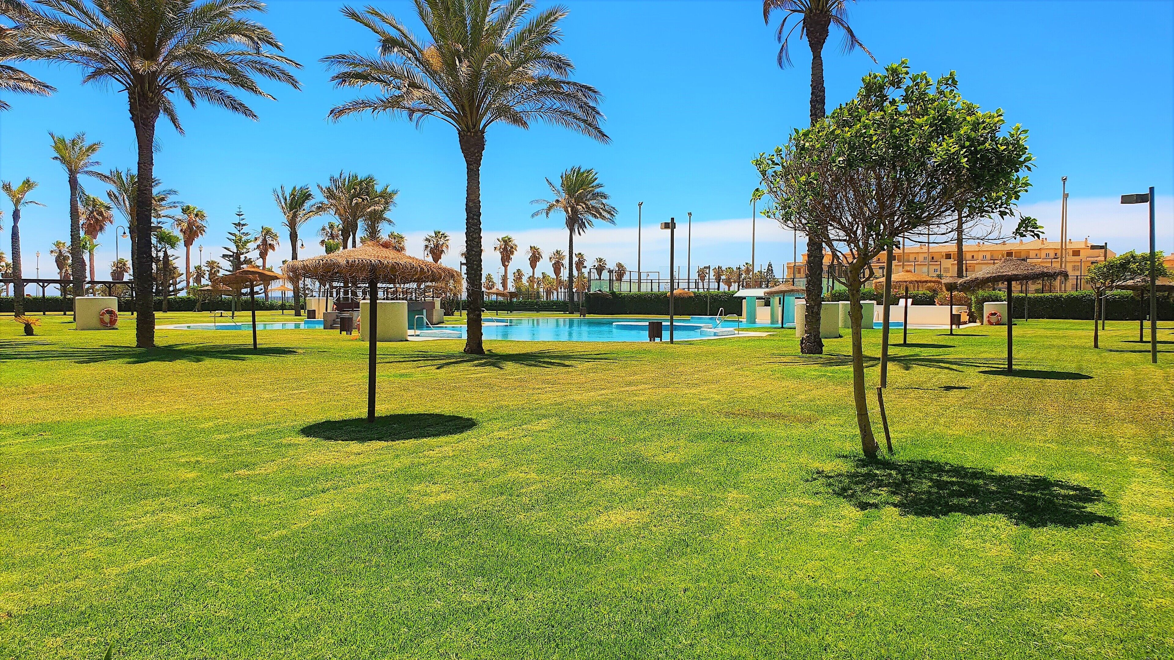 A pool area with palm trees, a thatched umbrella, and a building in the background.