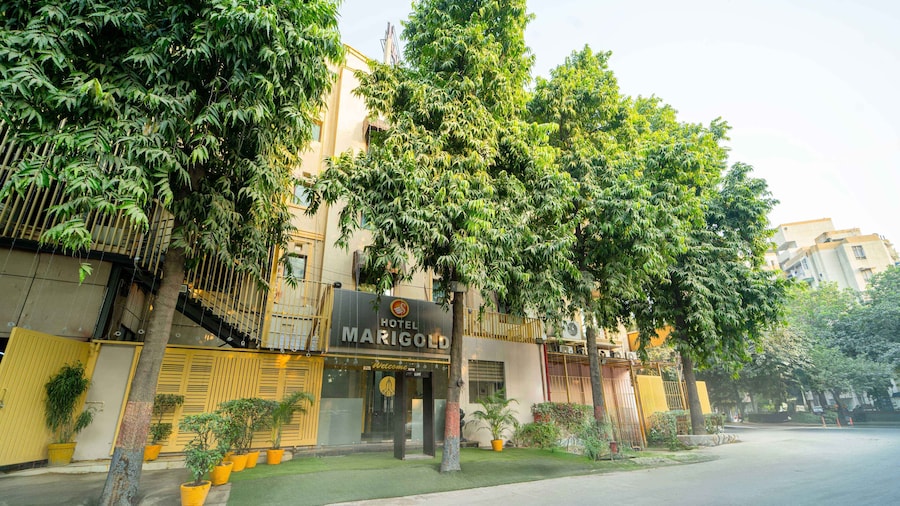 Treebo Marigold