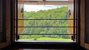 Una finestra con vista su una zona boschiva.