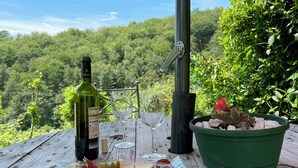 Un’apparecchiatura per un picnic con una bottiglia di vino, bicchieri, un piatto di formaggi e salumi, e una pianta di cactus in vaso su un tavolo di legno.