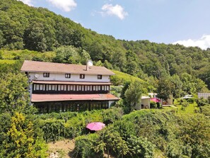Aerial view - hotel peruskenea (Basaburua)