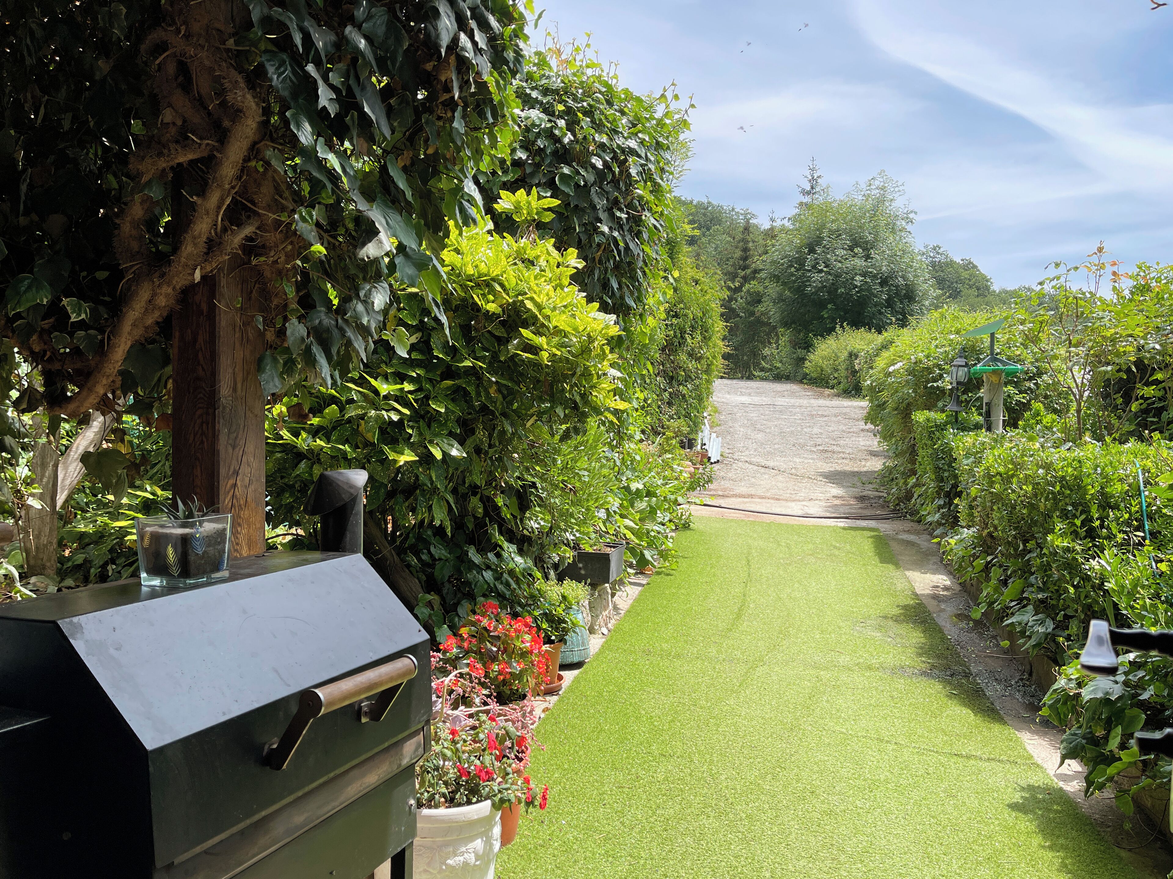 A garden with a lawn, a barbecue grill, and various potted plants.