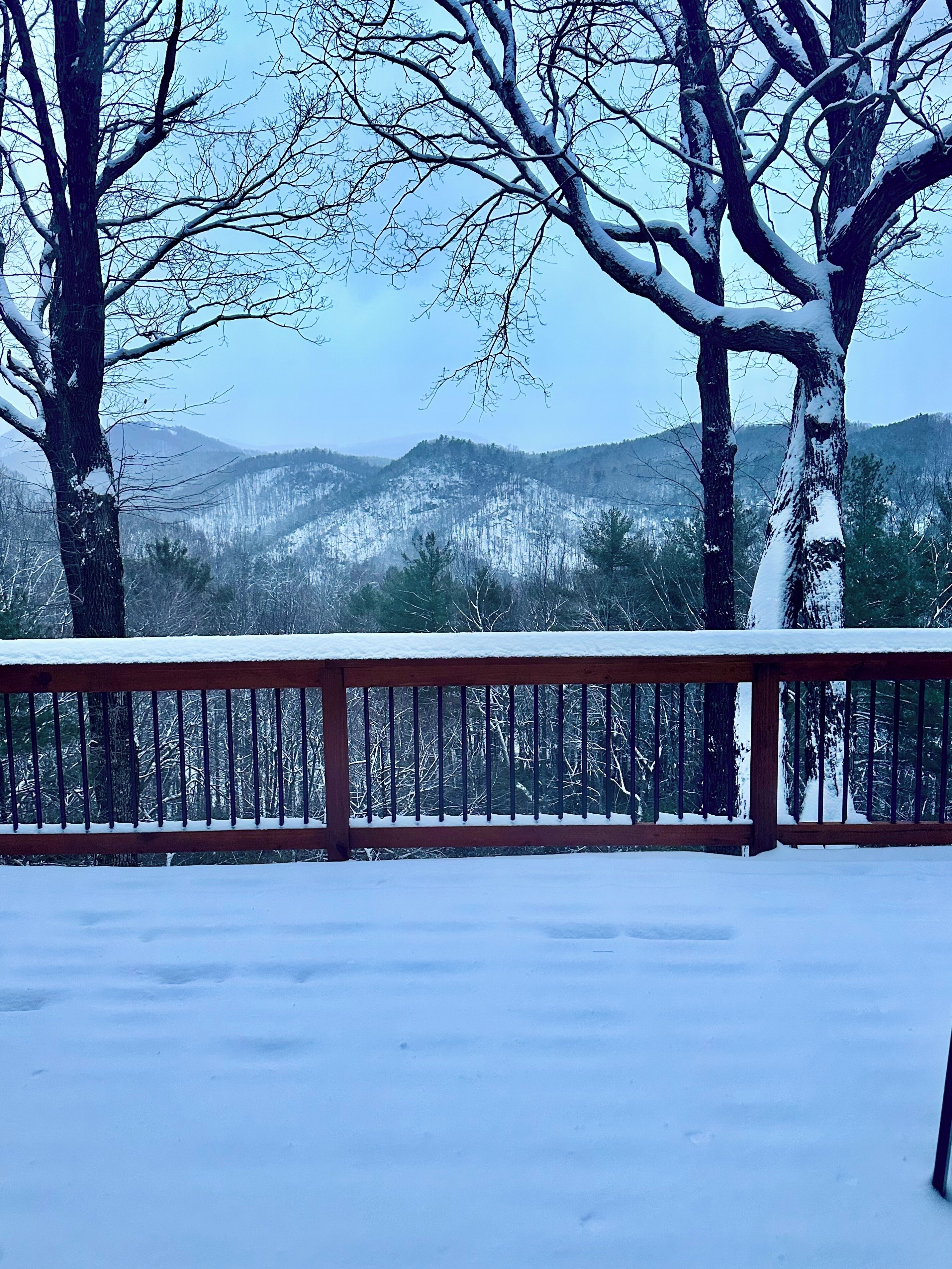 A snowy landscape with a wooden deck and snow-covered trees.