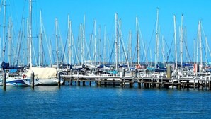 Un puerto deportivo con numerosos veleros amarrados a muelles de madera.