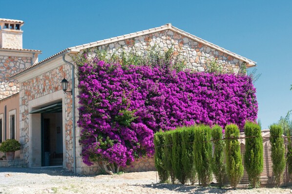 Fachada