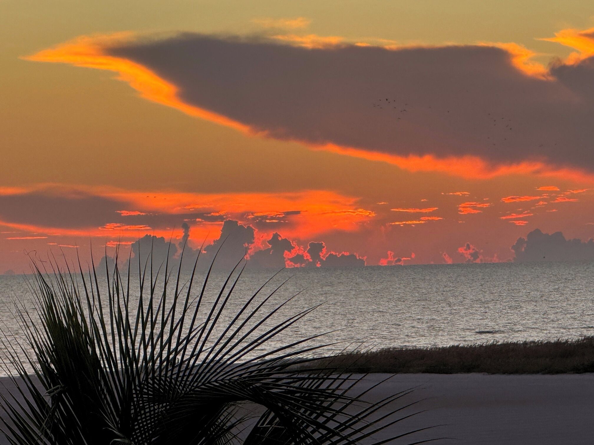 Accommodatie ligt op het strand, ligstoelen, strandlakens