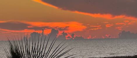 Accommodatie ligt op het strand, ligstoelen, strandlakens