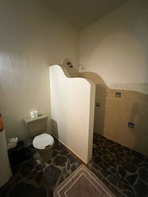 Serviettes fournies, savon, shampooing, papier de toilette