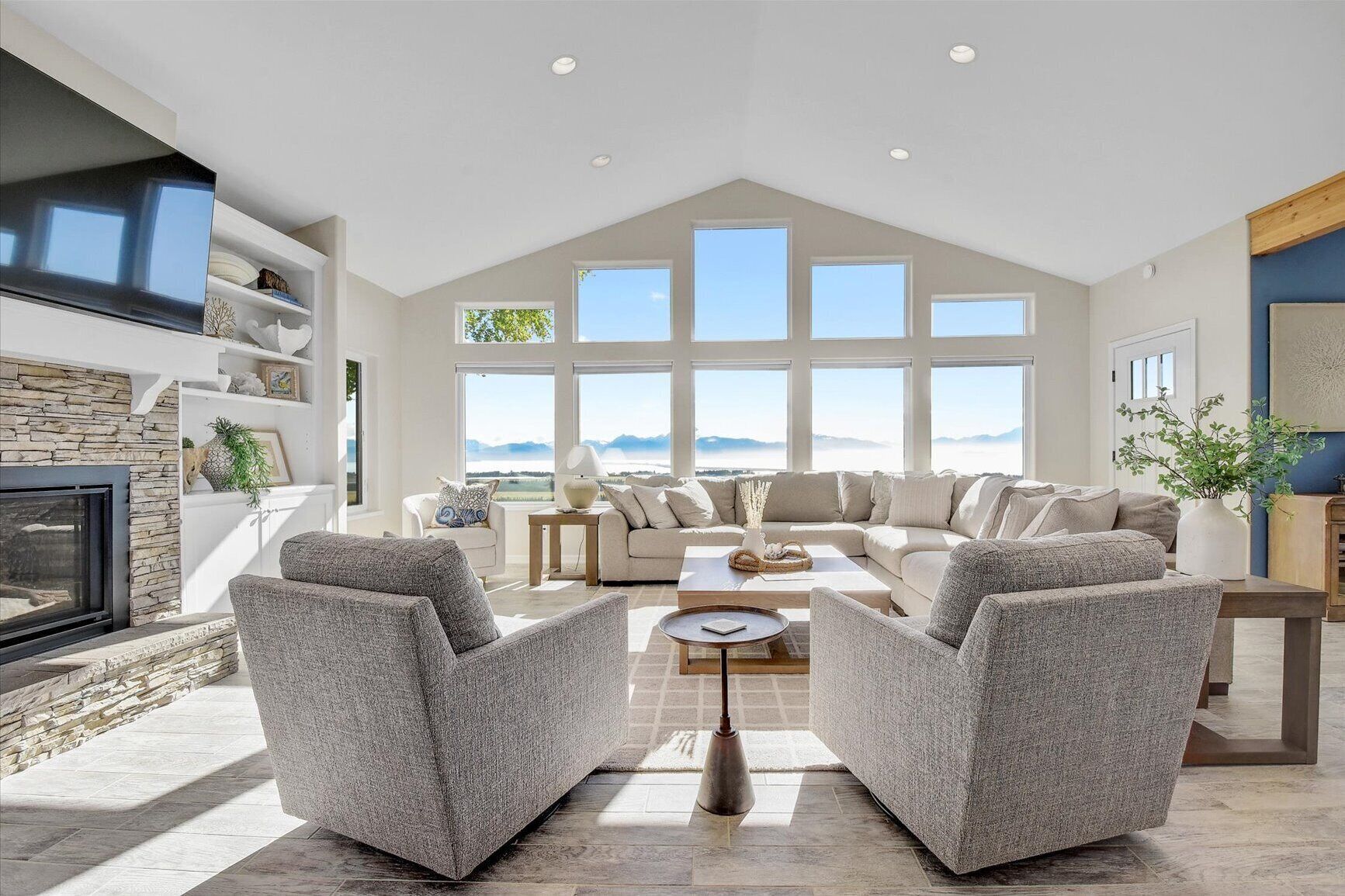 Smart TV, fireplace, books