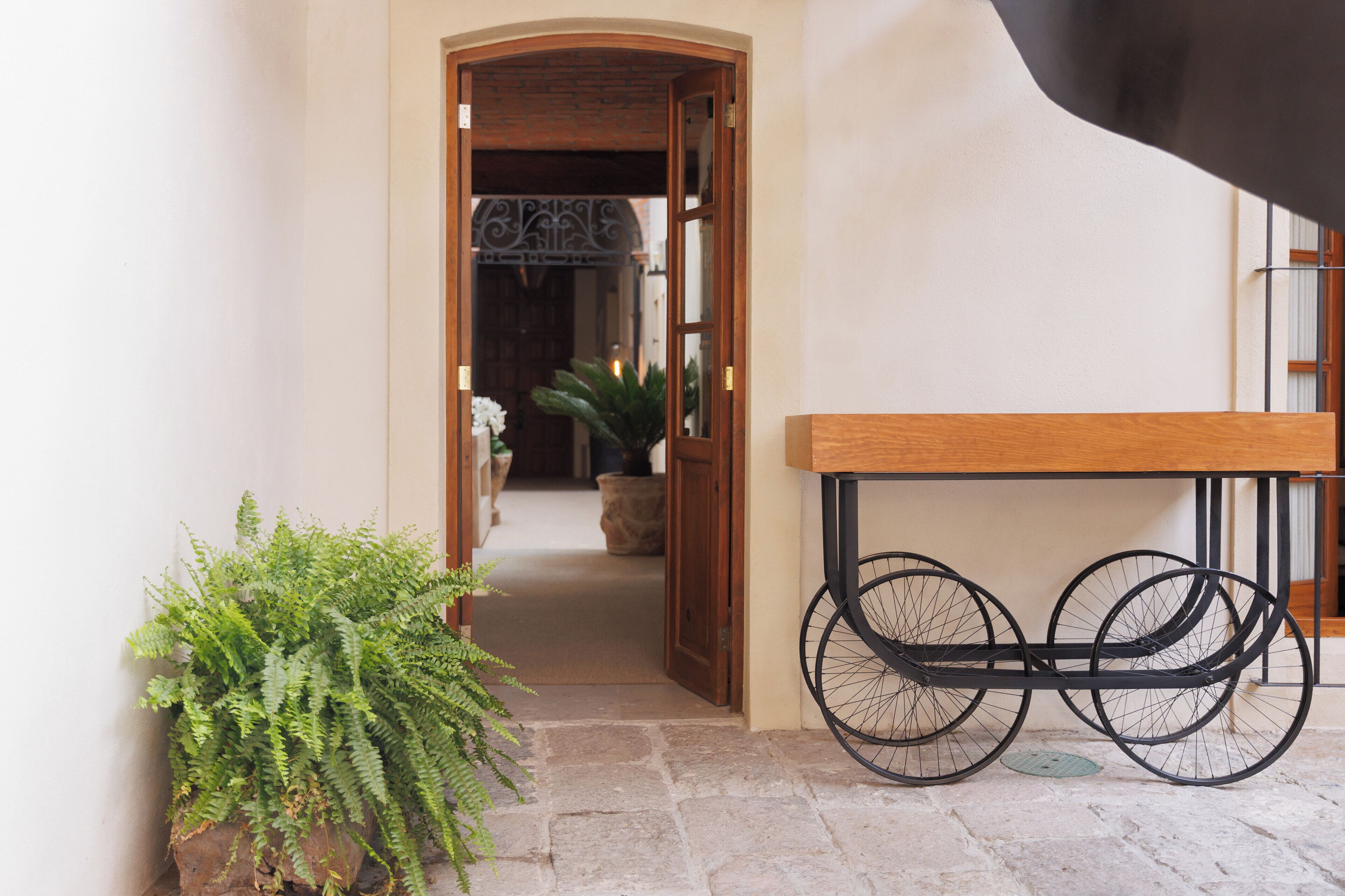 A hallway with a wooden bench, a bicycle, and a potted plant.