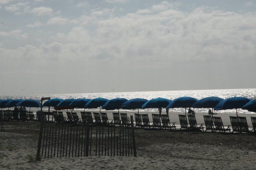 A beach with rows of blue umbrellas and beach chairs, a wooden fence, and the ocean in the background.