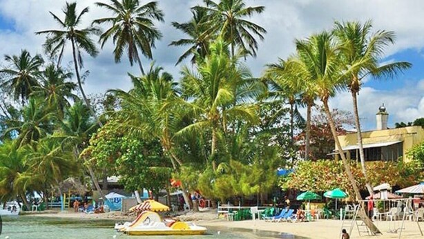 A beach with palm trees, a water slide, and beach chairs. - Luxury Penthouse DGM Resort at Boca Chica  (Boca Chica)
