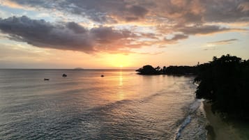 Lettini da mare
