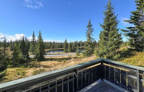 Property grounds - Stunning home in Sjusjøen with sauna (Sjusjøen)