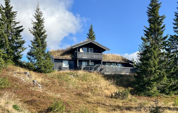 Eksteriør