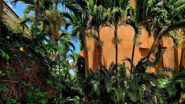A courtyard with palm trees, a stone pathway, and a building with a beige facade. - Sophia Baharini Diani Apartments (Diani Beach)