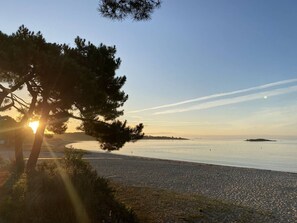 Enjoy a serene beach scene with a pine tree framing the view, a pebble-strewn shore, and a calm ocean.