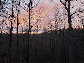 Metsä, jossa on korkeita puita ja auringonlasku taustalla.