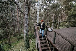 Property grounds - Mistwood: Mount Macedon - Family and Pet Friendly  (Mount Macedon)