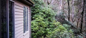 Mistwood: Mount Macedon - Family and Pet Friendly