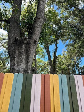 A tree with a textured bark and green leaves against a clear sky. - Hot Tub | Private Home | Ping Pong | Mins to Beach (Largo)