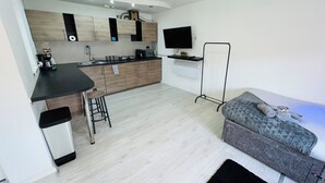 A compact living space with a kitchenette, a sofa, and a TV.