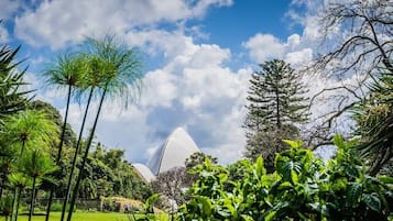 Jardines del alojamiento