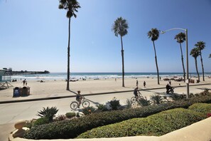 A beach with palm trees, a pier, and a clear sky. - Oceanfront 2BR/2BA Condo in Oceanside with Amazing Beach Access has AC! (Oceanside)