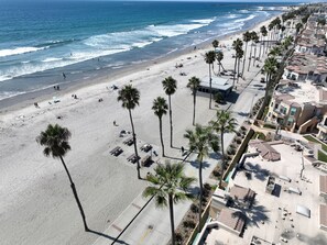 A beach with palm trees, a sandy shore, and a row of buildings with balconies. - Oceanfront 2BR/2BA Condo in Oceanside with Amazing Beach Access has AC! (Oceanside)