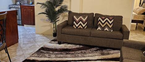 A living room with a sofa, a patterned rug, a potted plant, and a kitchen area in the background.