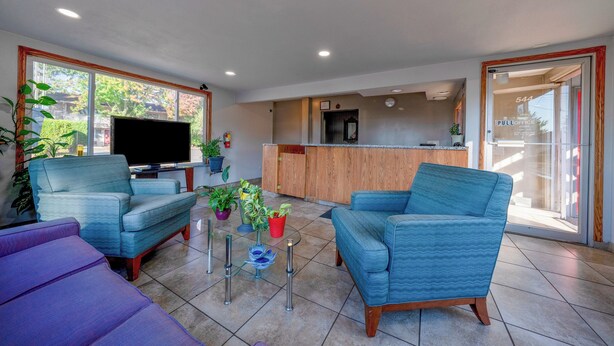 A modern living room with a TV, two blue sofas, a coffee table, and potted plants.